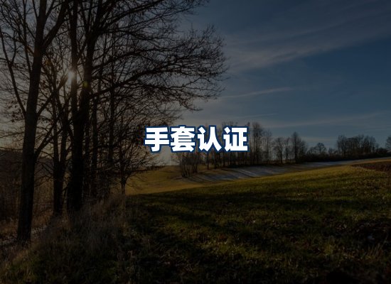CE认证咨询服务场景